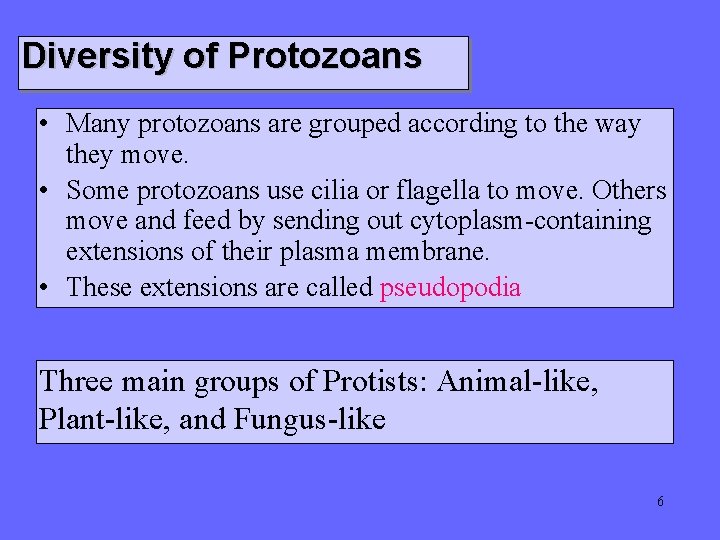 Diversity of Protozoans • Many protozoans are grouped according to the way they move.