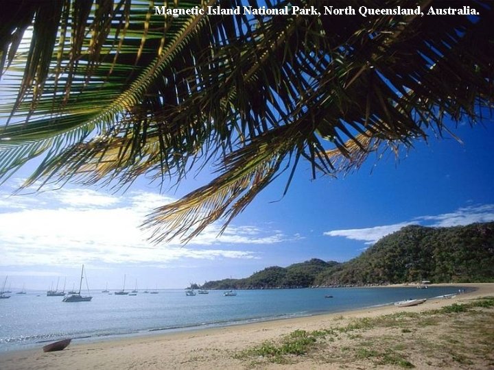 Magnetic Island National Park, North Queensland, Australia. 