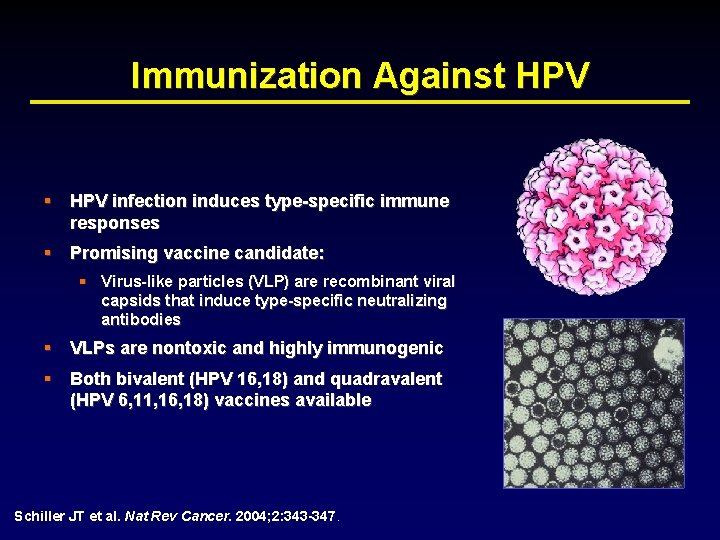 Immunization Against HPV § HPV infection induces type-specific immune responses § Promising vaccine candidate: