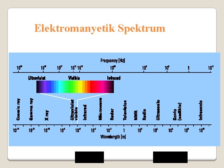 Elektromanyetik Spektrum E = hn n=c/l 