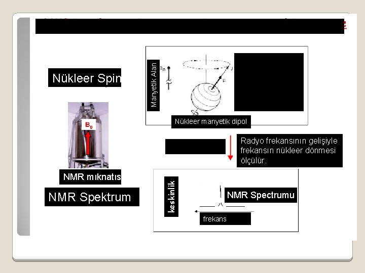 Manyetik Alan Nükleer Spin Nükleer manyetik dipol NMR mıknatıs NMR Spektrum keskinlik Radyo frekansının