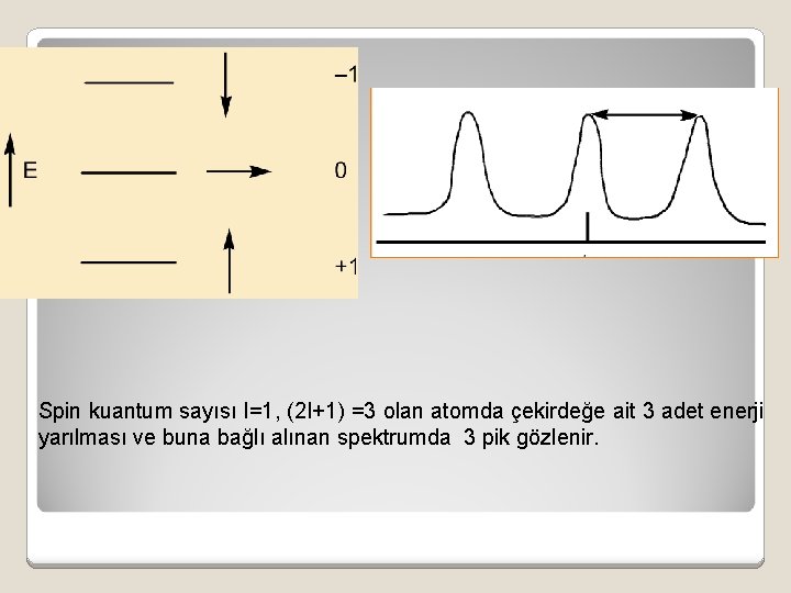 Spin kuantum sayısı I=1, (2 I+1) =3 olan atomda çekirdeğe ait 3 adet enerji