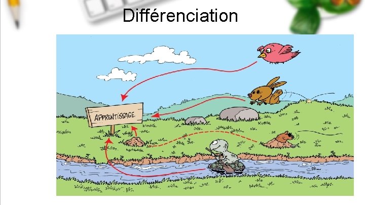 Différenciation 