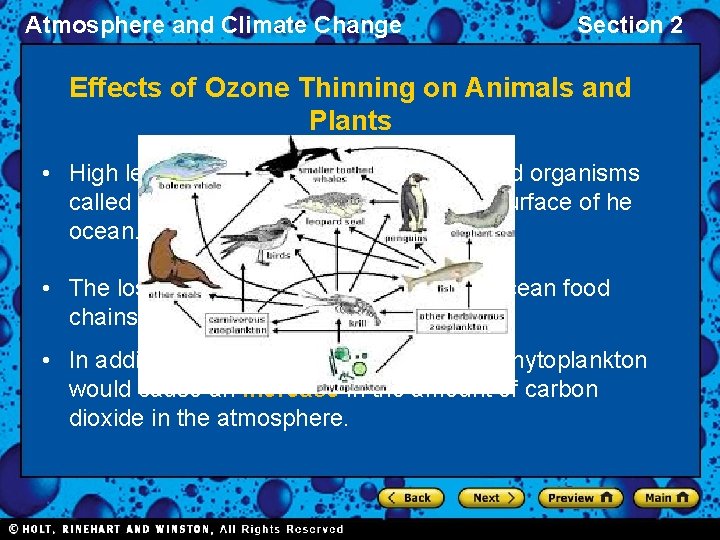 Atmosphere and Climate Change Section 2 Effects of Ozone Thinning on Animals and Plants