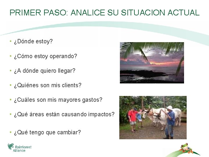 PRIMER PASO: ANALICE SU SITUACION ACTUAL • ¿Dónde estoy? • ¿Cómo estoy operando? •