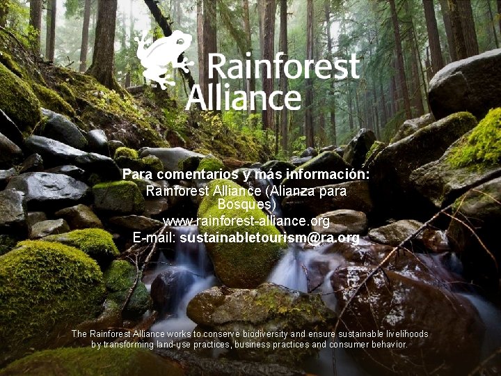 Para comentarios y más información: Rainforest Alliance (Alianza para Bosques) www. rainforest-alliance. org E-mail: