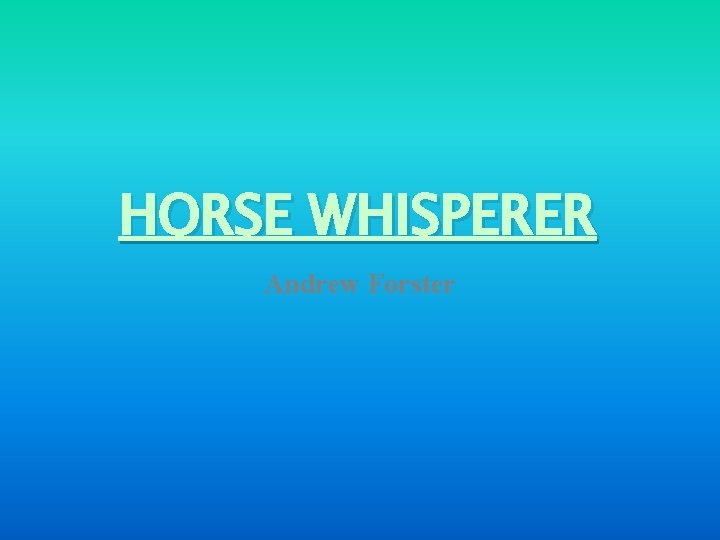HORSE WHISPERER Andrew Forster 
