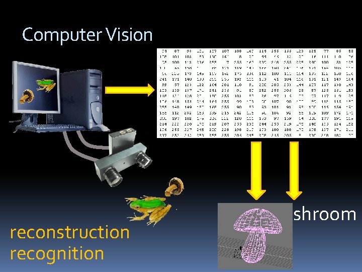Computer Vision reconstruction recognition frog, mushroom 