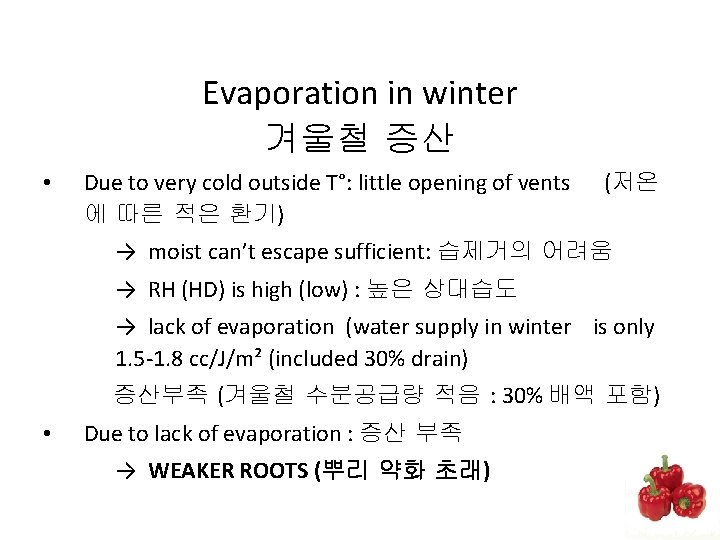 Evaporation in winter 겨울철 증산 • Due to very cold outside T°: little opening