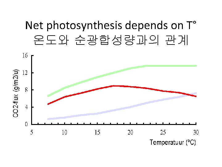 Net photosynthesis depends on T° 온도와 순광합성량과의 관계 