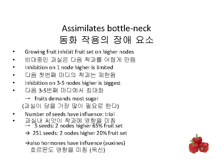 Assimilates bottle-neck 동화 작용의 장애 요소 • • Growing fruit inhibit fruit set on