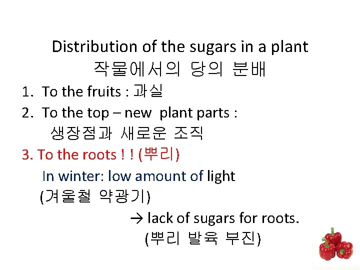 Distribution of the sugars in a plant 작물에서의 당의 분배 1. To the fruits