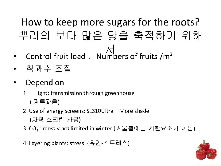  • • • How to keep more sugars for the roots? 뿌리의 보다