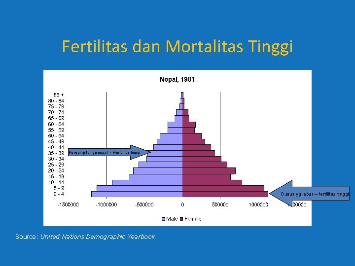 Fertilitas dan Mortalitas Tinggi Penyempitan yg cepat-> Mortalitas tinggi Dasar yg lebar – fertilitas Fertilitas dan Mortalitas Tinggi Penyempitan yg cepat-> Mortalitas tinggi Dasar yg lebar – fertilitas