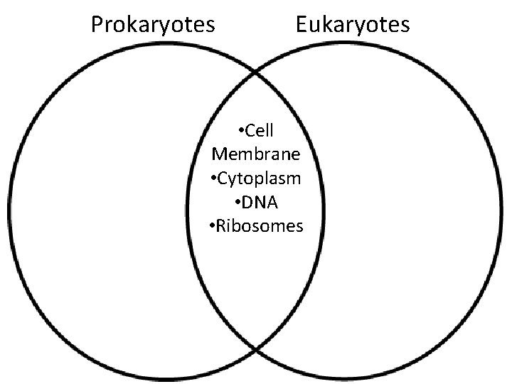 Prokaryotes Eukaryotes • Cell Membrane • Cytoplasm • DNA • Ribosomes 