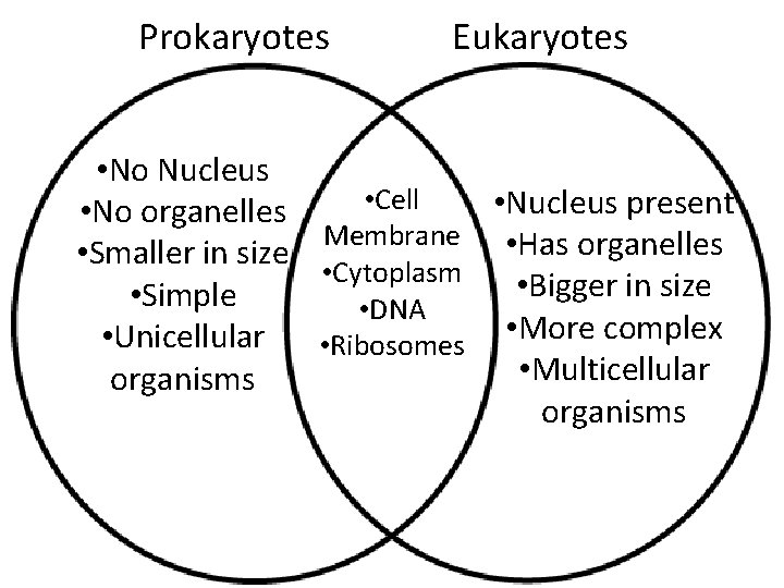 Prokaryotes Eukaryotes • No Nucleus • Cell • Nucleus present • No organelles Membrane