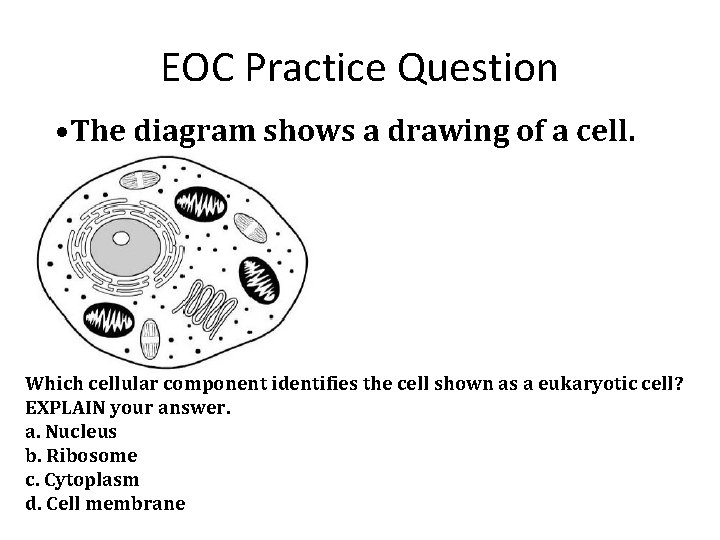 EOC Practice Question • The diagram shows a drawing of a cell. Which cellular