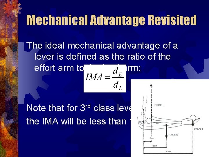 Mechanical Advantage Revisited The ideal mechanical advantage of a lever is defined as the