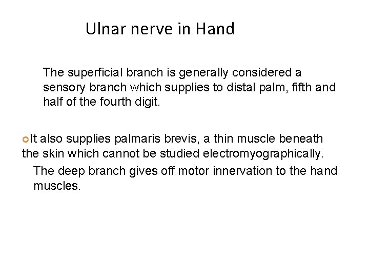  Ulnar nerve in Hand The superficial branch is generally considered a sensory branch