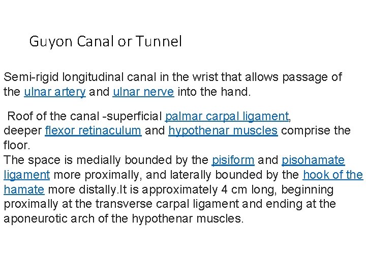 Guyon Canal or Tunnel Semi-rigid longitudinal canal in the wrist that allows passage of