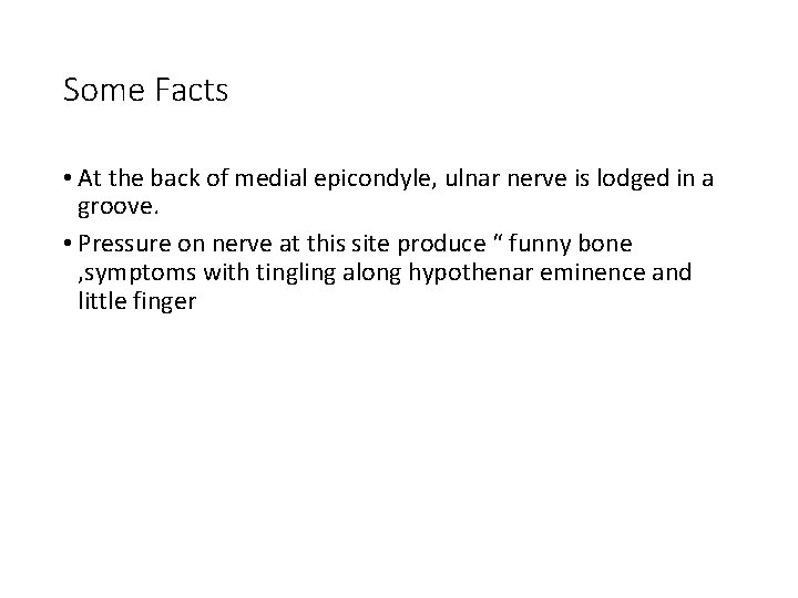 Some Facts • At the back of medial epicondyle, ulnar nerve is lodged in