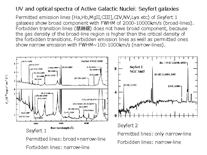 UV and optical spectra of Active Galactic Nuclei: Seyfert galaxies Permitted emission lines (Ha,