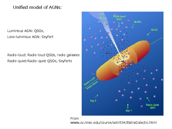 Unified model of AGNs: Luminous AGN: QSOs, Less-luminous AGN: Seyfert Radio-loud: Radio-loud QSOs, radio