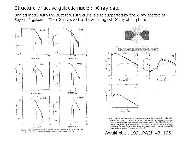 Structure of active galactic nuclei: X-ray data Unified model with the dust torus structure