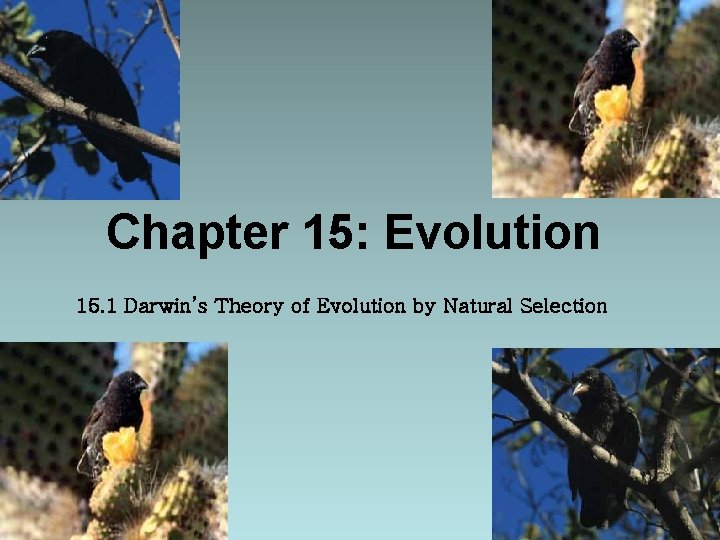 Chapter 15 Evolution 15 1 Darwins Theory of