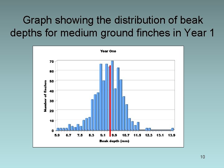Graph showing the distribution of beak depths for medium ground finches in Year 1