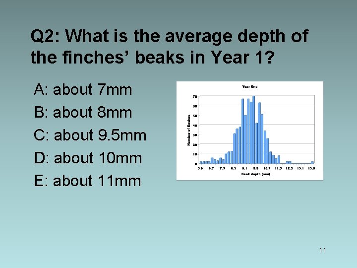 Q 2: What is the average depth of the finches’ beaks in Year 1?