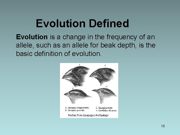 Evolution Defined Evolution is a change in the frequency of an allele, such as