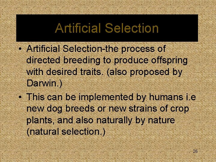 Artificial Selection • Artificial Selection-the process of directed breeding to produce offspring with desired