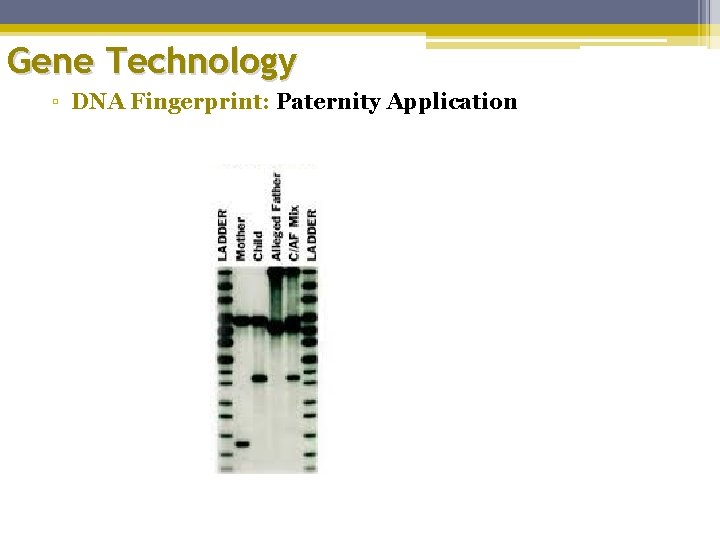 Gene Technology ▫ DNA Fingerprint: Paternity Application 