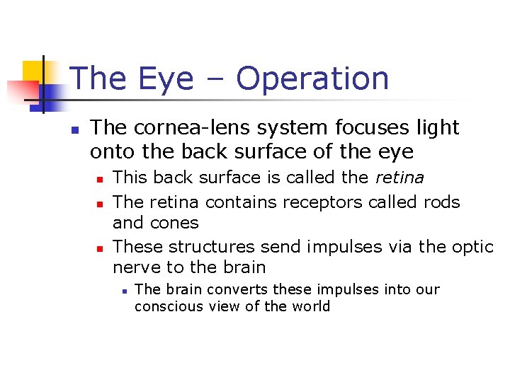 The Eye – Operation n The cornea-lens system focuses light onto the back surface