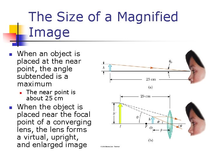 The Size of a Magnified Image n When an object is placed at the