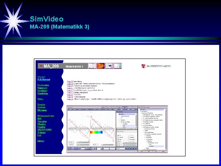 Sim. Video MA-209 (Matematikk 3) 