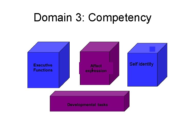 Domain 3: Competency Self identity t 