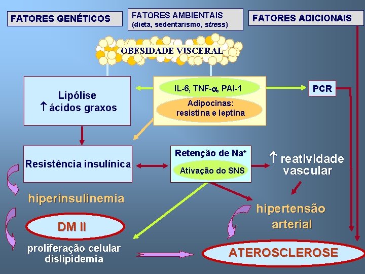 FATORES AMBIENTAIS FATORES GENÉTICOS FATORES ADICIONAIS (dieta, sedentarismo, stress) OBESIDADE VISCERAL Lipólise ácidos graxos