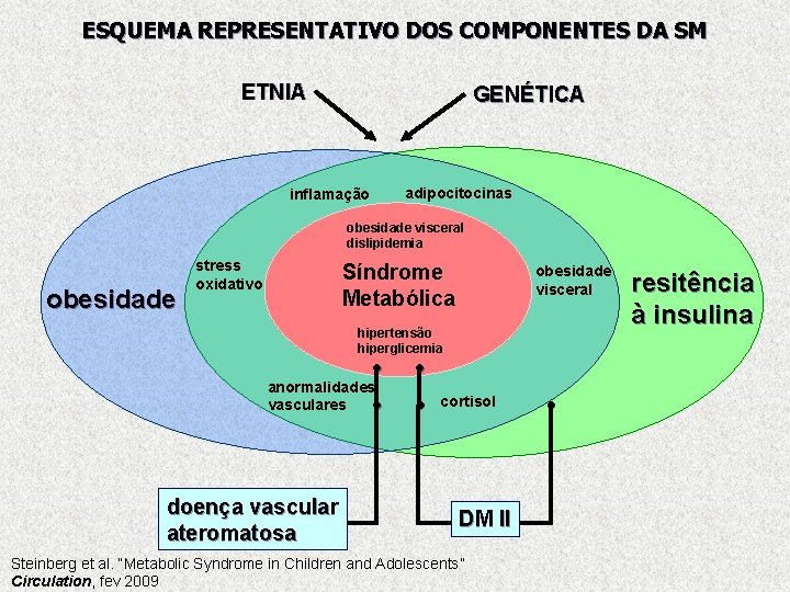 ESQUEMA REPRESENTATIVO DOS COMPONENTES DA SM ETNIA GENÉTICA adipocitocinas inflamação obesidade visceral dislipidemia obesidade