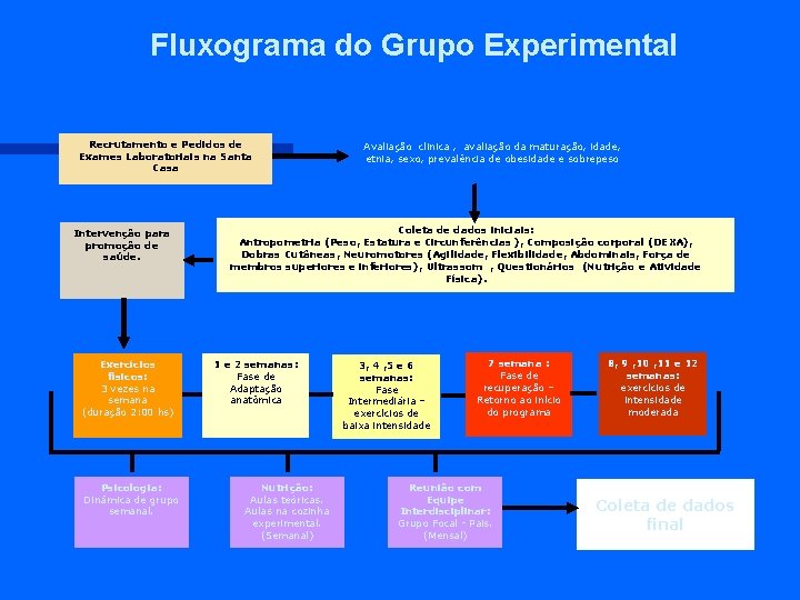 Fluxograma do Grupo Experimental Recrutamento e Pedidos de Exames Laboratoriais na Santa Casa Intervenção