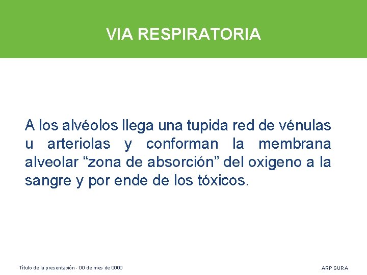 VIA RESPIRATORIA A los alvéolos llega una tupida red de vénulas u arteriolas y