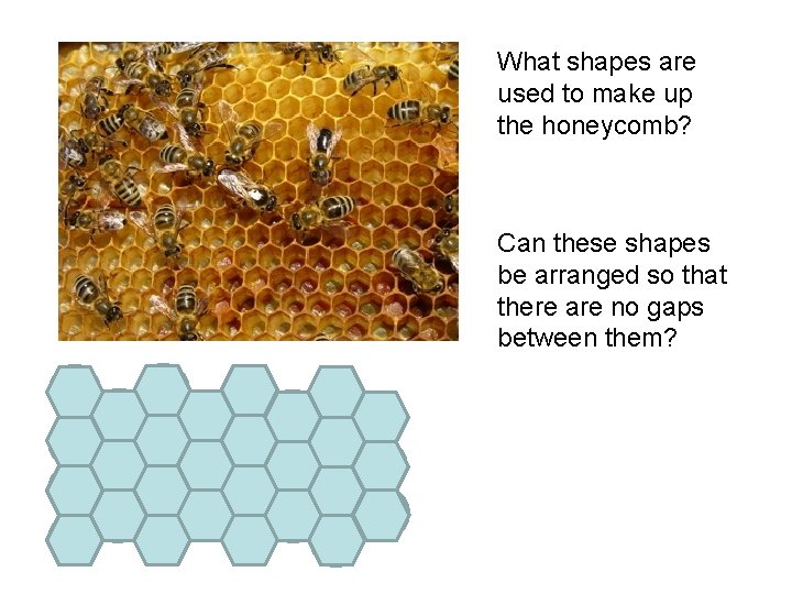 What shapes are used to make up the honeycomb? Can these shapes be arranged