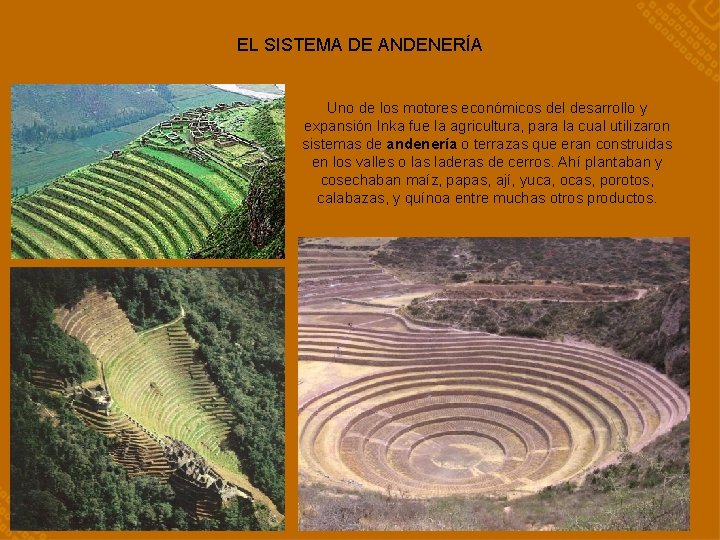 EL SISTEMA DE ANDENERÍA Uno de los motores económicos del desarrollo y expansión Inka