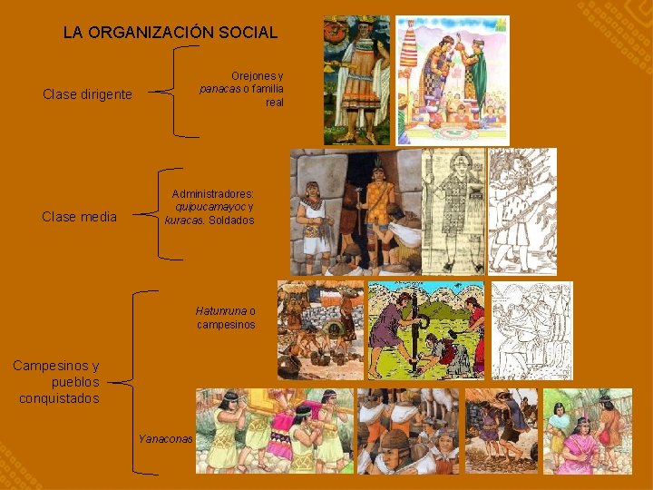 LA ORGANIZACIÓN SOCIAL Orejones y panacas o familia real Clase dirigente Clase media Administradores: