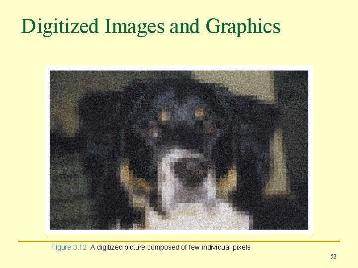 Digitized Images and Graphics Figure 3. 12 A digitized picture composed of few individual