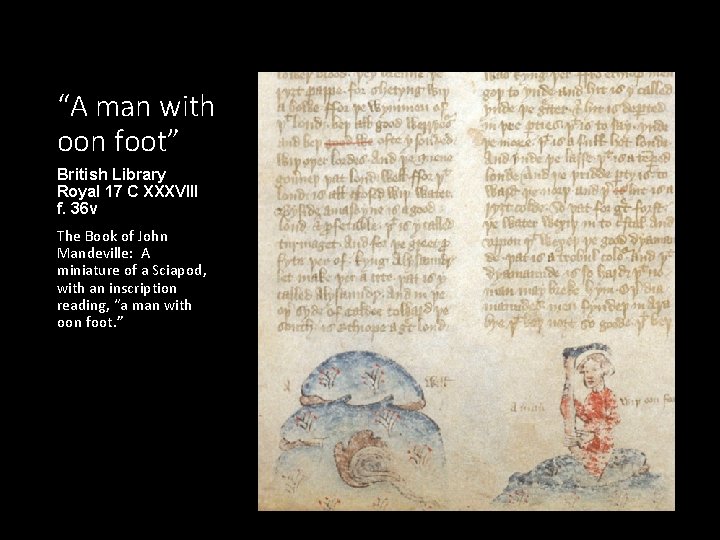“A man with oon foot” British Library Royal 17 C XXXVIII f. 36 v