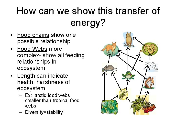 How can we show this transfer of energy? • Food chains show one possible