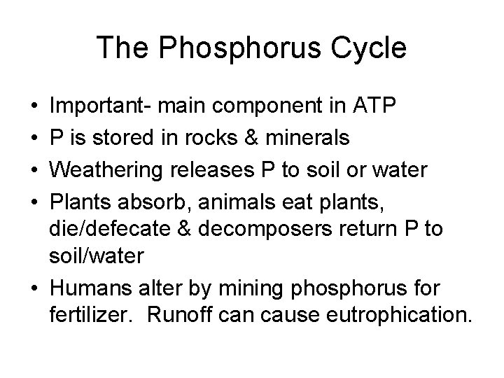 The Phosphorus Cycle • • Important- main component in ATP P is stored in