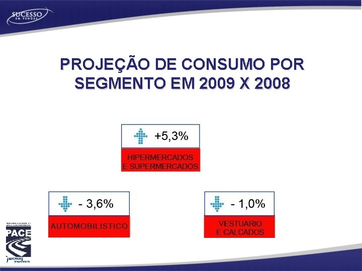 PROJEÇÃO DE CONSUMO POR SEGMENTO EM 2009 X 2008 